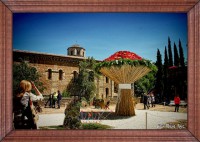 /album/fotogaleria-girona/fotos-anna-2-205-inpixio-inpixio-640x480-jpg/